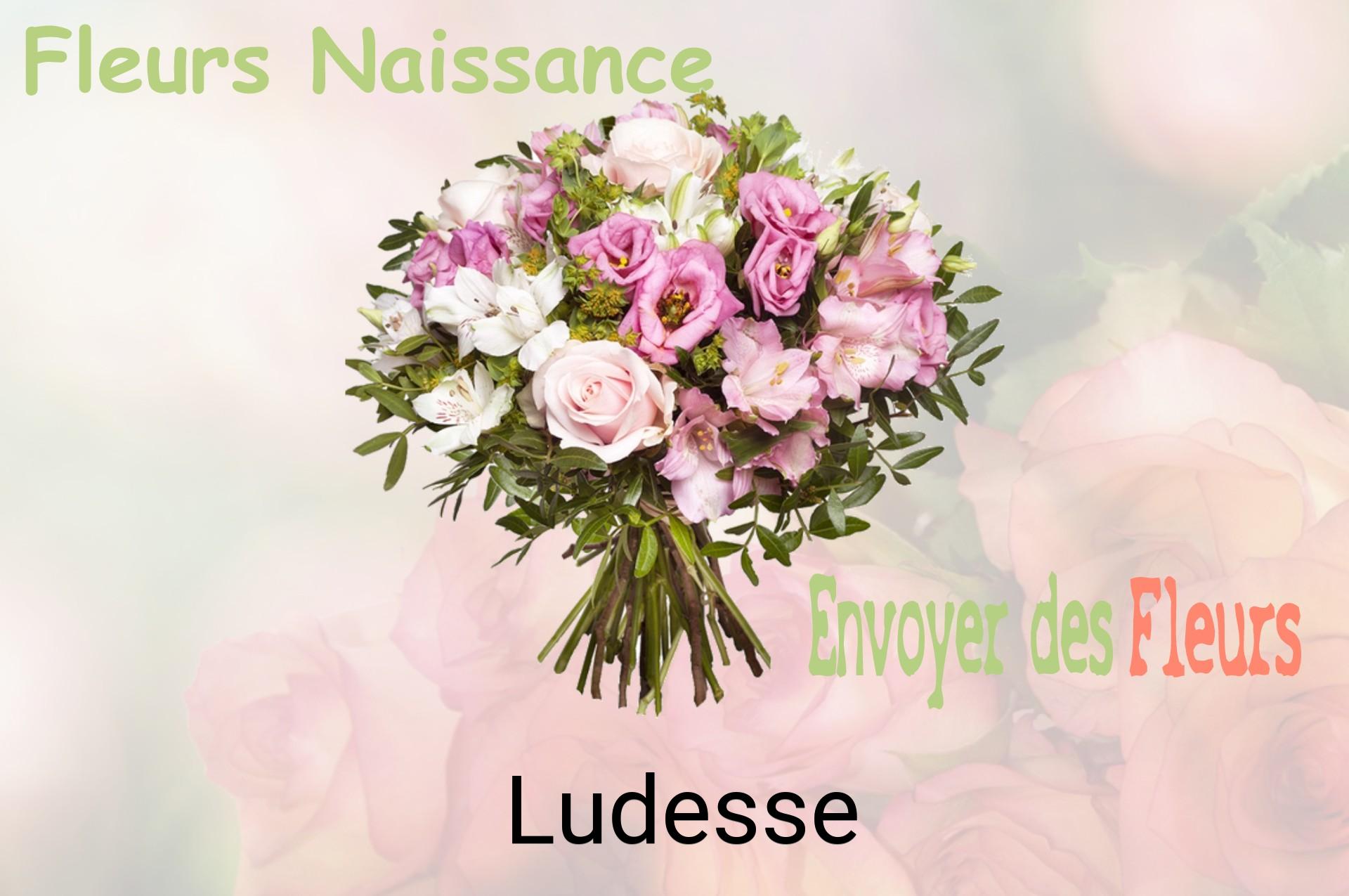 Bouquet de fleurs de naissance livré à Ludesse