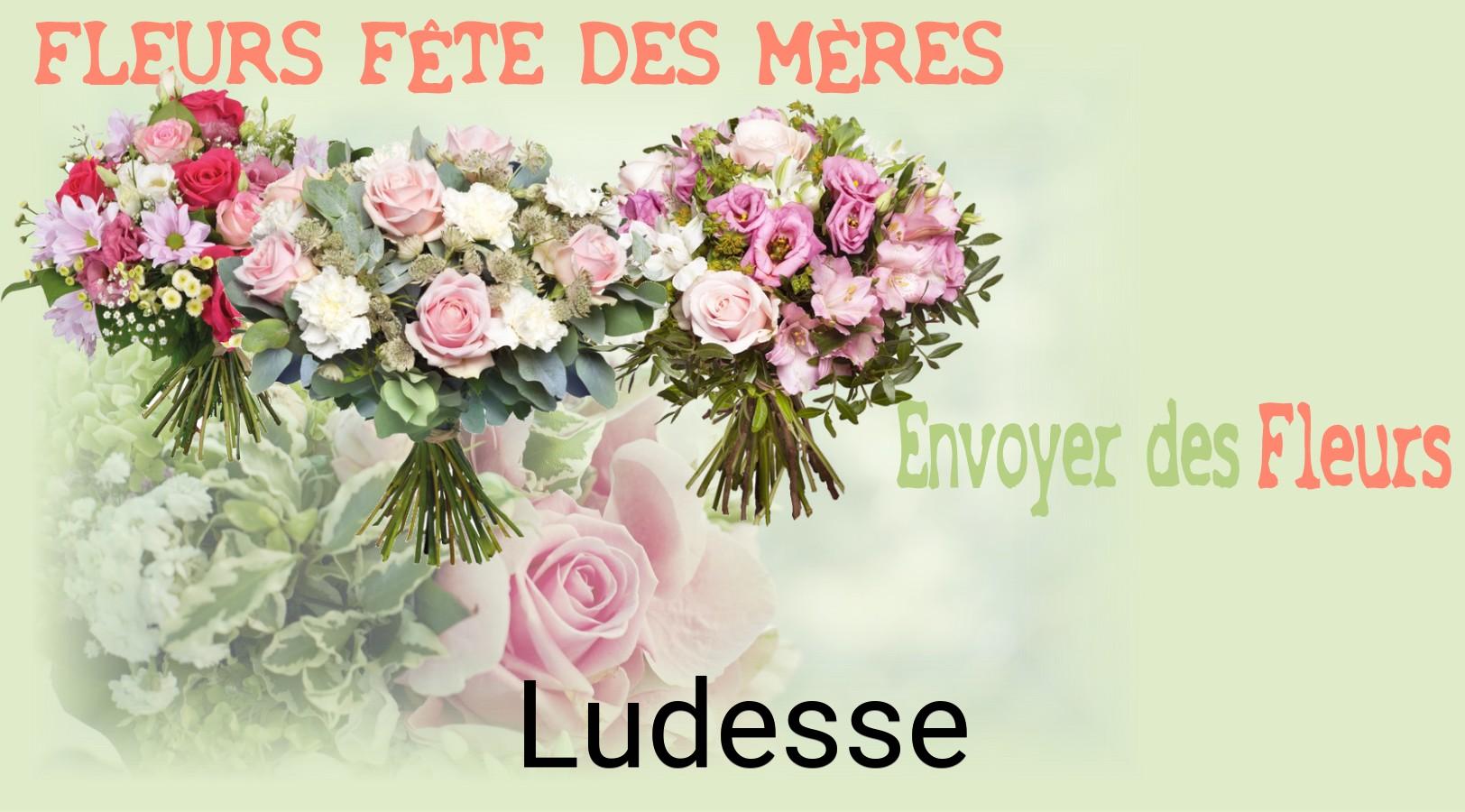 Bouquet de Fête des Mères livré à Ludesse